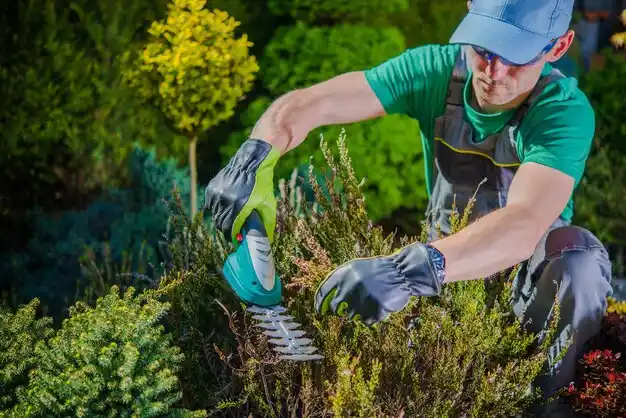 landscaping services Lake Placid
